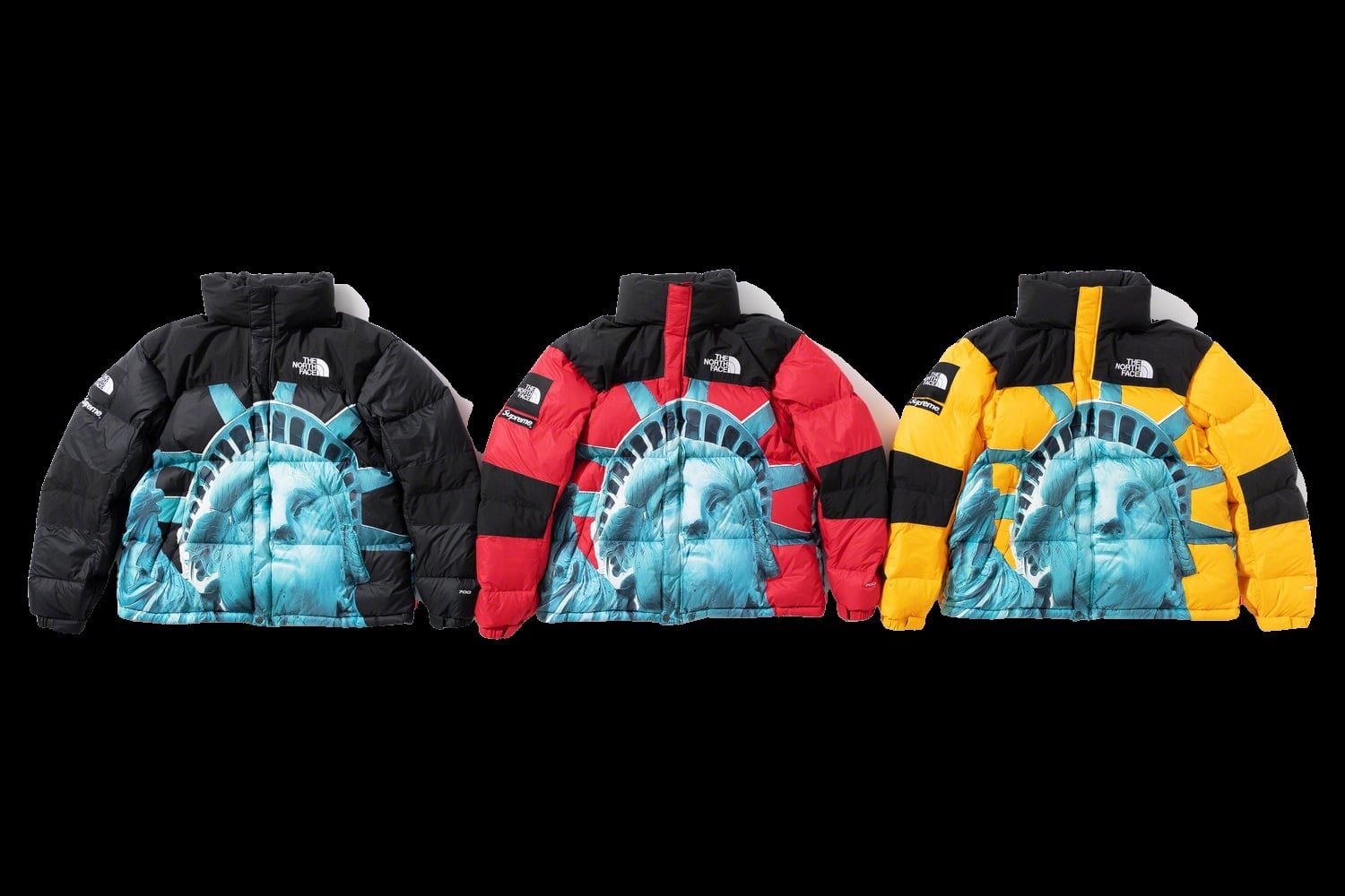 Supreme®/The North Face® Statue of Liberty Baltoro Jacket view 12